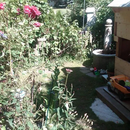 Waldsicht * フラッハウ