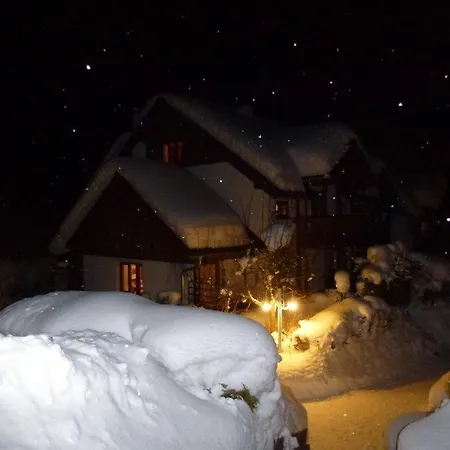 Waldsicht フラッハウ