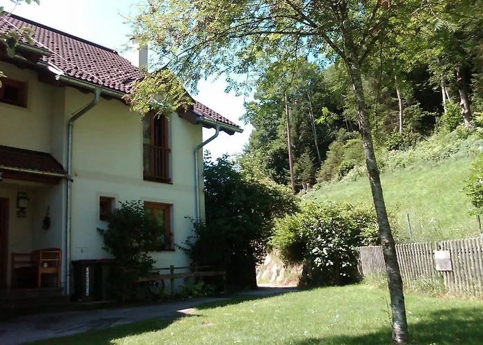 Waldsicht פלאכאו